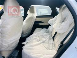 بي واي دي Qin Plus